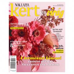 Nők Lapja különszám