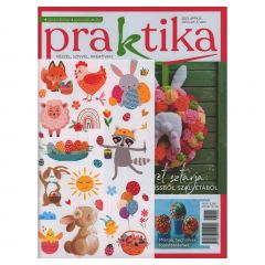 Praktika