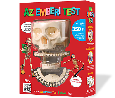 Az Emberi Test