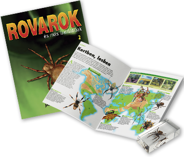 Rovarok és más ízeltlábúak